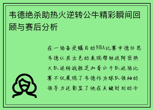韦德绝杀助热火逆转公牛精彩瞬间回顾与赛后分析
